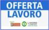 Attive 114 offerte lavoro CPI  09/06/2026 Cremona,Crema,Soresina e Casal.ggiore