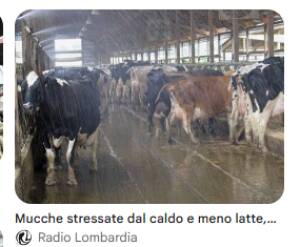 Caldo, sale l’allerta nei campi lombardi: coltivazioni e animali stressati da afa