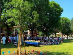Castelleone Un albero per Marco De Luca