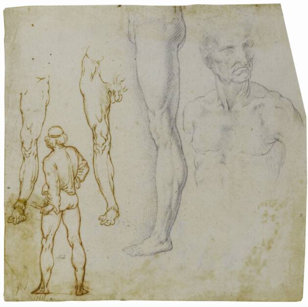 CULTURA. AL CASTELLO SFORZESCO “PASSIONE DISEGNO. DA LEONARDO DA VINCI A KEITH HARING”