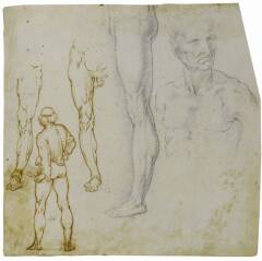 CULTURA. AL CASTELLO SFORZESCO “PASSIONE DISEGNO. DA LEONARDO DA VINCI A KEITH HARING”