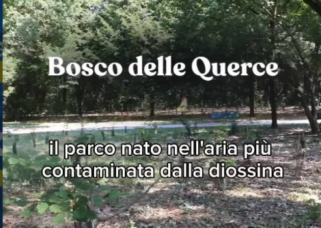 Seveso Icmesa , 50 anni dopo Il bosco delle Querce è in pericolo