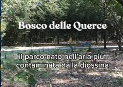 Seveso Icmesa , 50 anni dopo Il bosco delle Querce è in pericolo