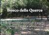 Seveso Icmesa , 50 anni dopo Il bosco delle Querce è in pericolo