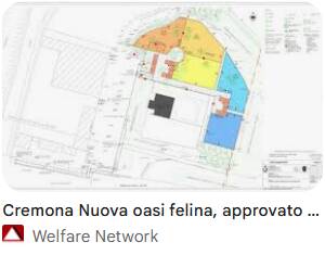 (CR) Gattile rifugio e osai felina di via Brescia forse la soluzione 