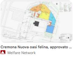 (CR) Gattile rifugio e osai felina di via Brescia forse la soluzione 