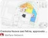 (CR) Gattile rifugio e osai felina di via Brescia forse la soluzione 