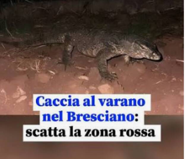 ANMVI SUL VARANO DI MONTICHIARI SIVAE: ordinanza corretta,