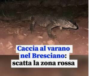 ANMVI SUL VARANO DI MONTICHIARI SIVAE: ordinanza corretta, 
