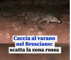ANMVI SUL VARANO DI MONTICHIARI SIVAE: ordinanza corretta, 