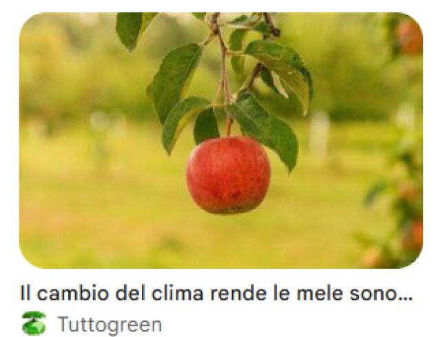 Caldo, Coldiretti: mele lombarde più piccole, al via in anticipo la raccolta in Valtellina
