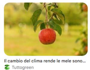 Caldo, Coldiretti: mele lombarde più piccole, al via in anticipo la raccolta in Valtellina