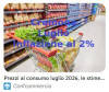 INDICE ANDAMENTO PREZZI AL CONSUMO A CREMONA MESE DI LUGLIO 2026