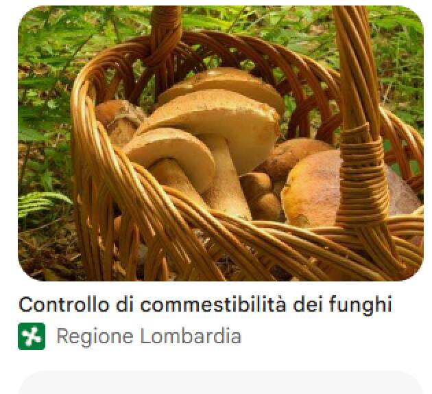 RACCOLTA FUNGHI: RIVOLGITI AGLI ESPERTI DI ATS VAL PADANA