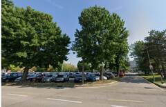 Piazzale Ospedale di Cremona. Si tagliano ancora alberi per fare nuovi parcheggi.