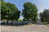 Piazzale Ospedale di Cremona. Si tagliano ancora alberi per fare nuovi parcheggi.