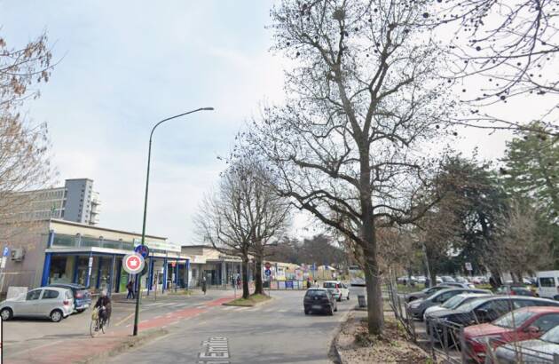 Piazzale Ospedale di Cremona. Si tagliano ancora alberi per fare nuovi parcheggi.