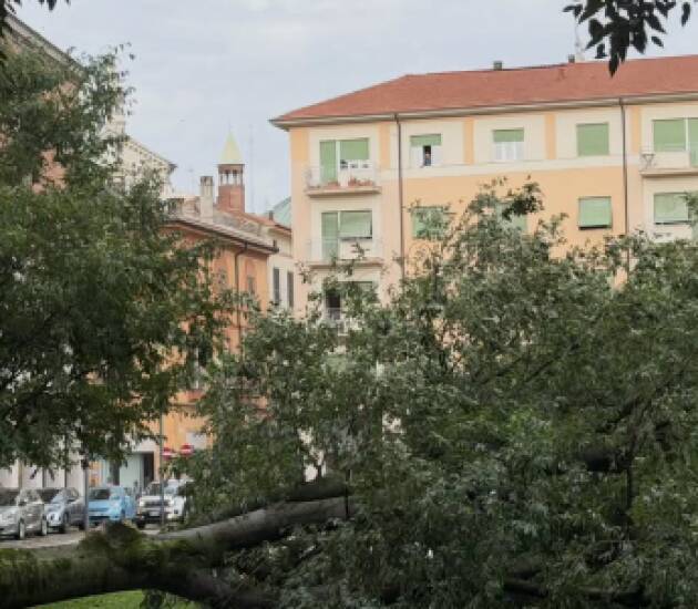 Nubifragio a Cremona il messaggio del sindaco Andrea Virgilio