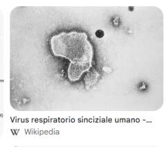 Virus Respiratorio Sinciziale, a Crema al via la campagna di immunizzazione dei neonati