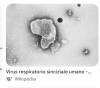 Virus Respiratorio Sinciziale, a Crema al via la campagna di immunizzazione dei neonati