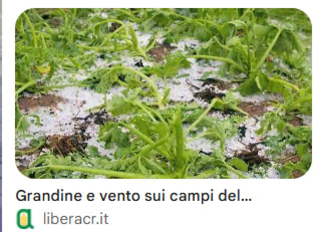 GRANDINATA DEL 28 AGOSTO, LA REGIONE ACCOGLIE LA RICHIESTA DELLA PROVINCIA