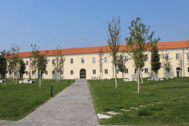 AL POLO DI CREMONA NASCE THE LIVING WALL, LA PARETE VERDE IDROPONICA