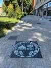 (MI) MUNICIPI. NASCONO LE PRIME STAZIONI PEDIBUS 