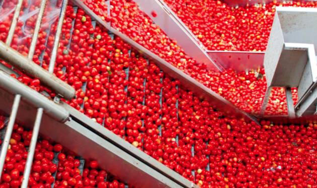 Casalasco a Saudi Food 2026 per rafforzare la presenza nei mercati del Medio Oriente