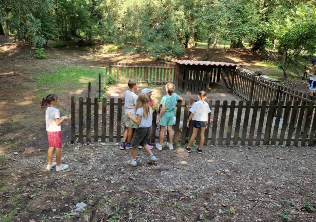Castelleone È iniziato , con una giornata dedicata alle famiglie al Parco del Tinazzo di Soncino, 