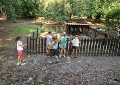 Castelleone È iniziato , con una giornata dedicata alle famiglie al Parco del Tinazzo di Soncino, 