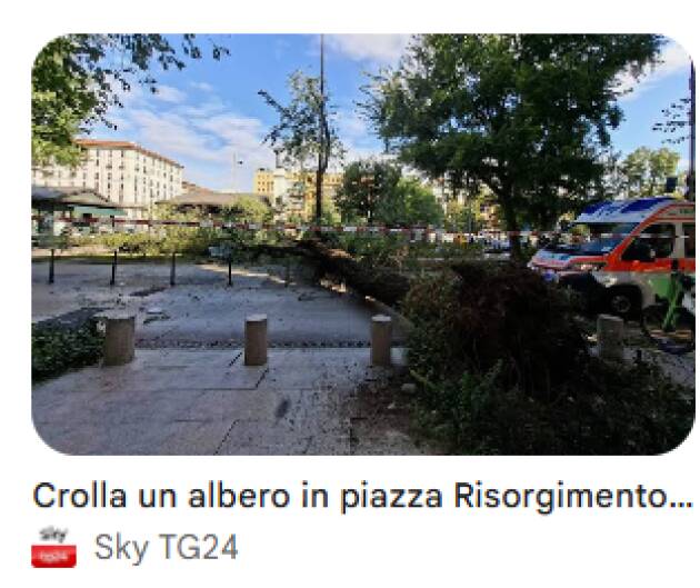 (MI) VERDE. IN PIAZZA RISORGIMENTO AL VIA LAVORI PER RIMOZIONI ALBERATURE IN CLASSE D