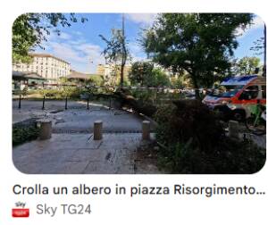 (MI) VERDE. IN PIAZZA RISORGIMENTO AL VIA LAVORI PER RIMOZIONI ALBERATURE IN CLASSE D