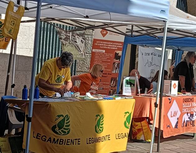 Festa del Volontariato 2026 - Cremona, domenica 27 settembre