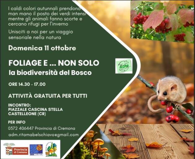 BOSCO DIDATTICO DI CASTELLEONE, DOMENICA 11 OTTOBRE TORNA L’APPUNTAMENTO