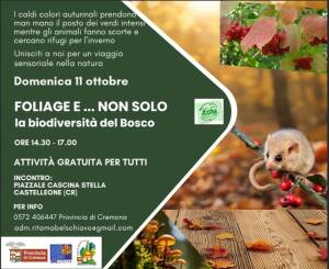 BOSCO DIDATTICO DI CASTELLEONE, DOMENICA 11 OTTOBRE TORNA L’APPUNTAMENTO 