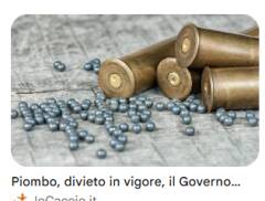 UE, STOP AL PIOMBO NELLE MUNIZIONI. POLLINI (M5S)