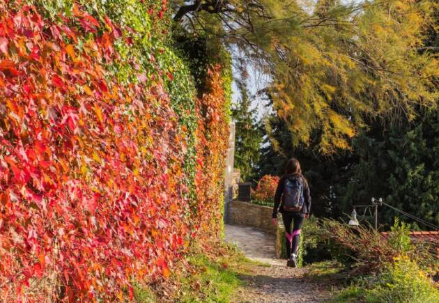 East Lombardy AUTUNNO STAGIONE DI CAMMINI