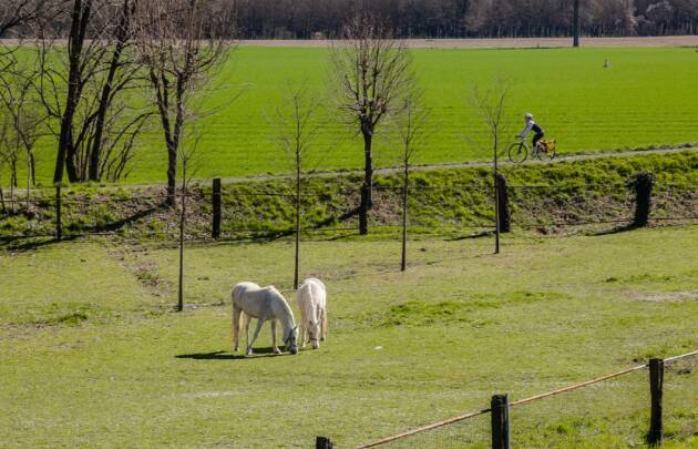 East Lombardy AUTUNNO STAGIONE DI CAMMINI