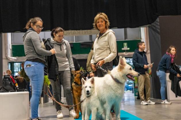 UN GRANDE SUCCESSO SI CONCLUDE PETSFESTIVAL 2026 A CREMONAFIERE