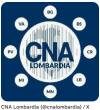 MILANO, CNA – ON. PATUANELLI, VIOLI E PIZZIGHINI (M5S): ASCOLTO VERO