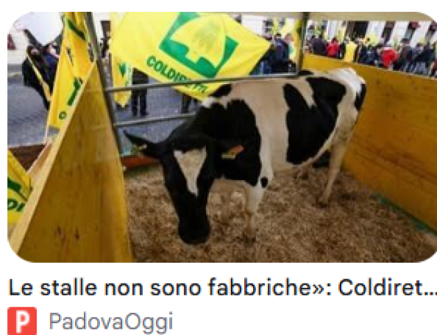 FAZI: COLDIRETTI, 300 MILIONI PER RILANCIARE GLI ALLEVAMENTI, OPPORTUNITÀ PER I GIOVANI